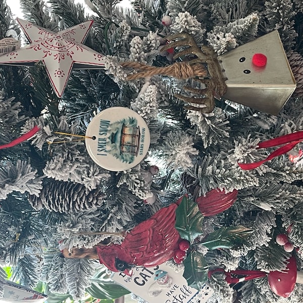 Grazed but Not Dazed Trump Shot Shirt, Trump Shooting T-shirt, Trump