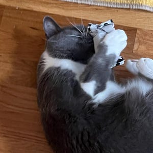Misty added a photo of their purchase