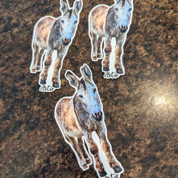 Pet photo christmas card