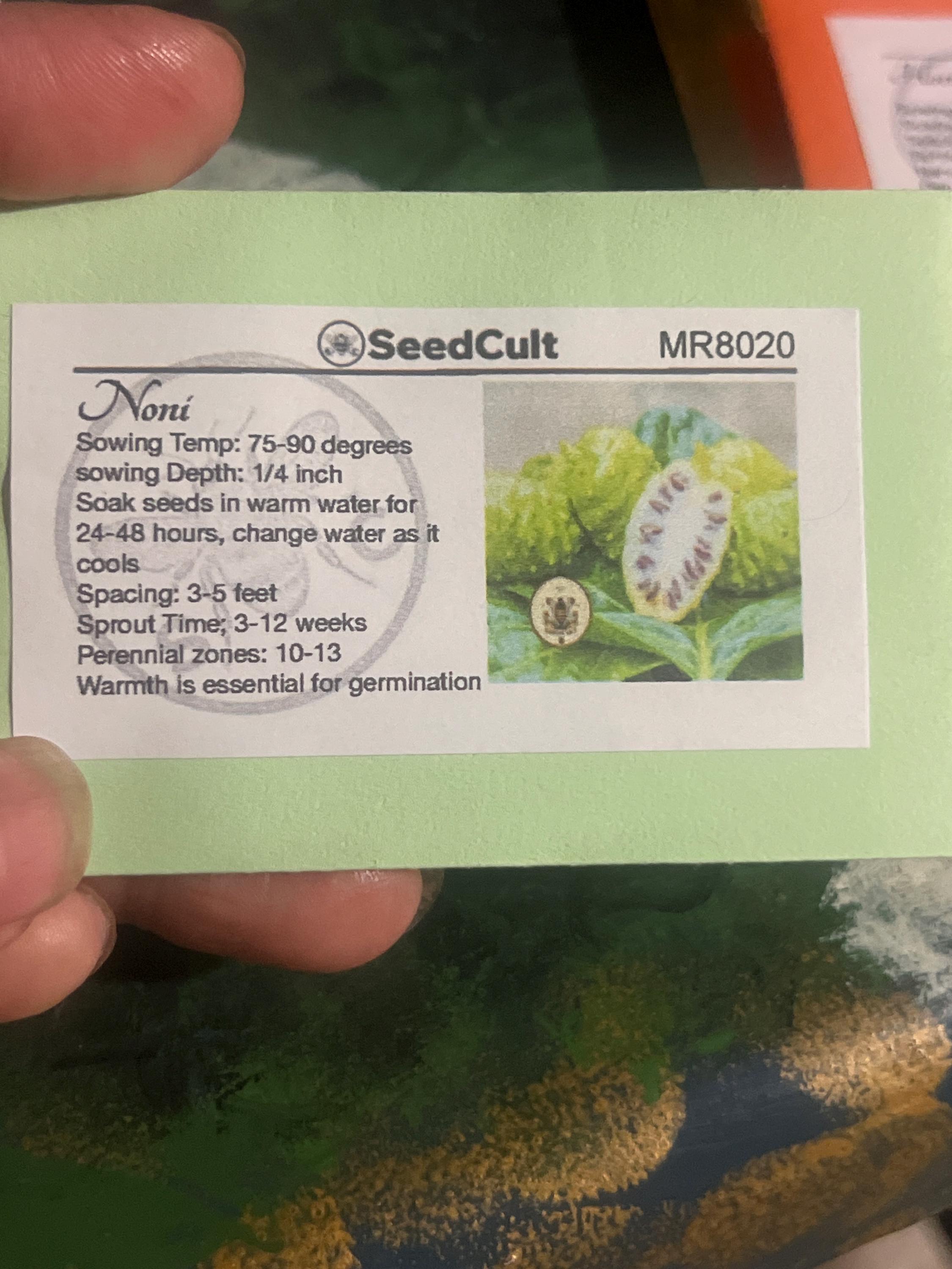 NONI – SeedCult