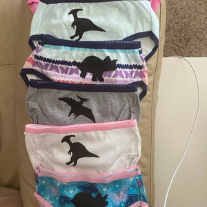 DINOSAUR UNDERWEAR, Girls Panties, Pink, Hand Painted, Girls Size 4,6,8 -   Hong Kong