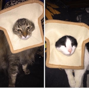 Jean added a photo of their purchase