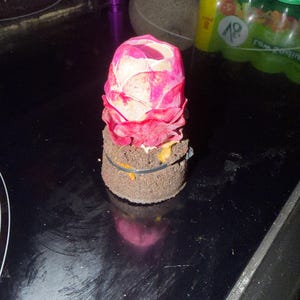 Nan hat ein Foto des gekauften Artikels hinzugefügt