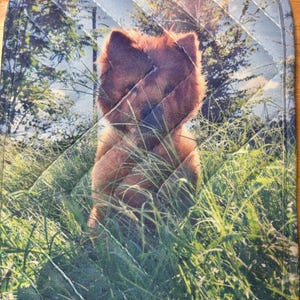 Kim a ajouté une photo de son achat