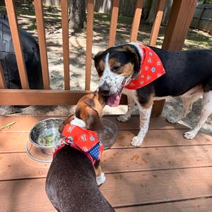 Molly added a photo of their purchase
