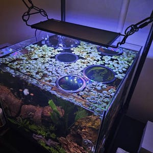 James added a photo of their purchase