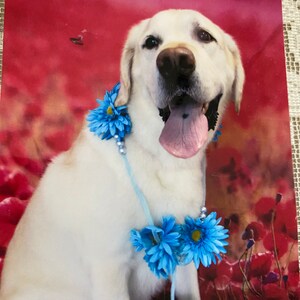 Mary さんが購入した商品の写真を追加しました