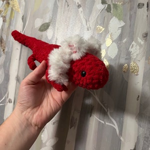 Cassie added a photo of their purchase