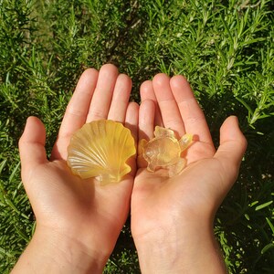 Inaktives Konto hat ein Foto des gekauften Artikels hinzugefügt