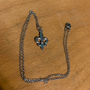 Reice added a photo of their purchase