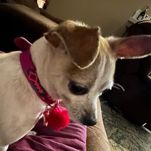 Melissa added a photo of their purchase
