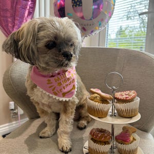Steph added a photo of their purchase