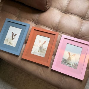 Courtney added a photo of their purchase