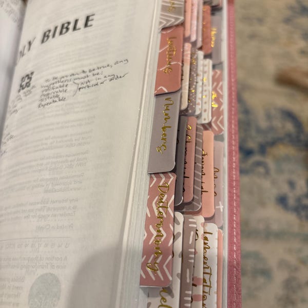 Bible Tabs | Laminated Bible Tabs | Tabs for the Bible | Pretty Bible ...