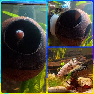 Vanessa added a photo of their purchase
