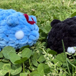 Kiwi added a photo of their purchase