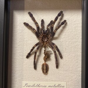 Anabella added a photo of their purchase