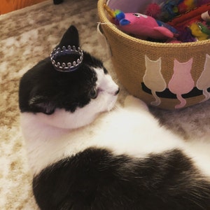 Jennifer added a photo of their purchase