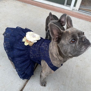 xs dog bow tie
