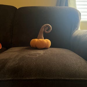 Pat added a photo of their purchase