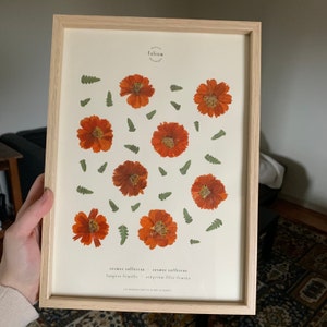 Pauline a ajouté une photo de son achat