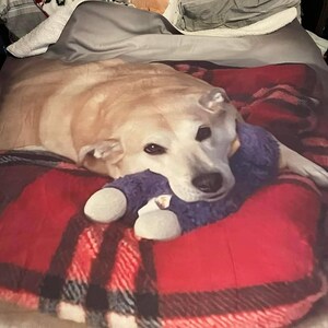 Kimberley added a photo of their purchase