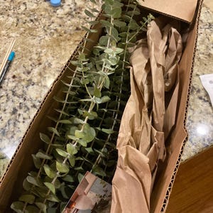 Kate added a photo of their purchase