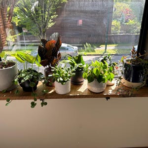 Janet added a photo of their purchase