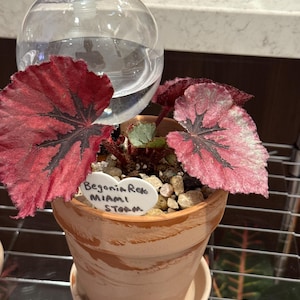 De dodał(a) zdjęcie swoich zakupów