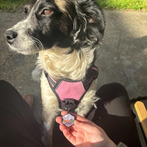 mary added a photo of their purchase
