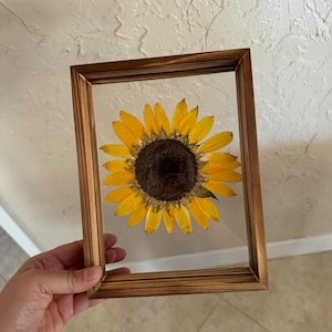 Sarah added a photo of their purchase