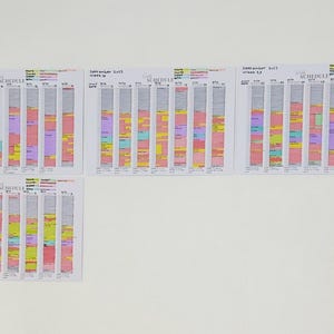 James added a photo of their purchase