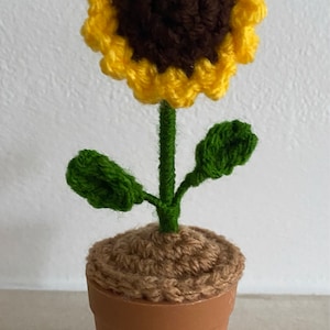 Alison added a photo of their purchase