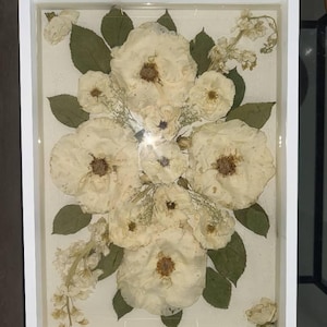 Karen added a photo of their purchase