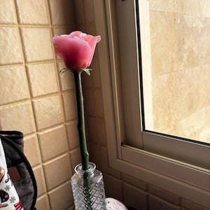 elena heeft een foto van de aankoop toegevoegd