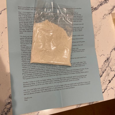 Gluten Free Sourdough Starter Maintained With GF King Arthur Four - Etsy