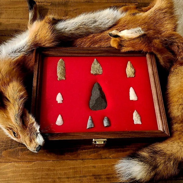 Walnut Wood Display Case - 9 1/4" X 15 3/4" X 2" For Arrowheads, Knives, Coins 4 thumbnail image