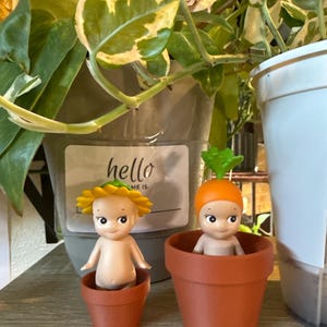 Samantha added a photo of their purchase