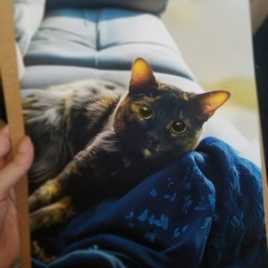 Dylan added a photo of their purchase