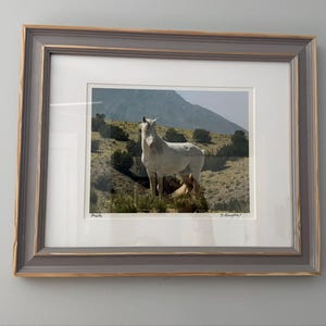 Claudia added a photo of their purchase