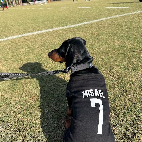Custom Royal Gold-White Classic Style Dog Jersey main image 0