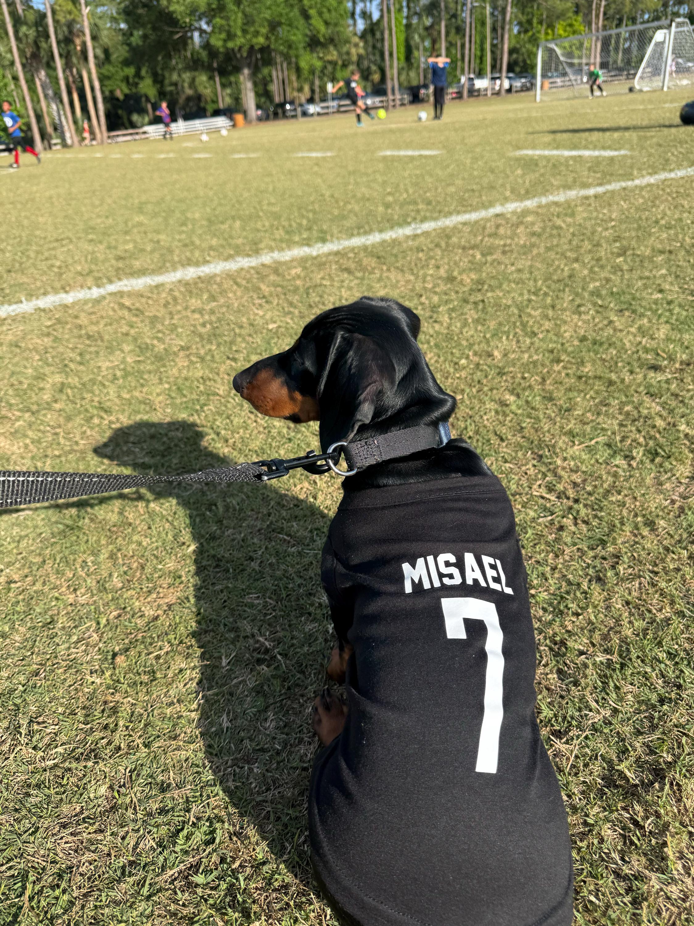 Custom Sports Dog Jersey - Personalized Dog Shirt with Name & Number - Team Dog Shirt, Football, Basketball, Soccer Fan Gift, Pet Jersey