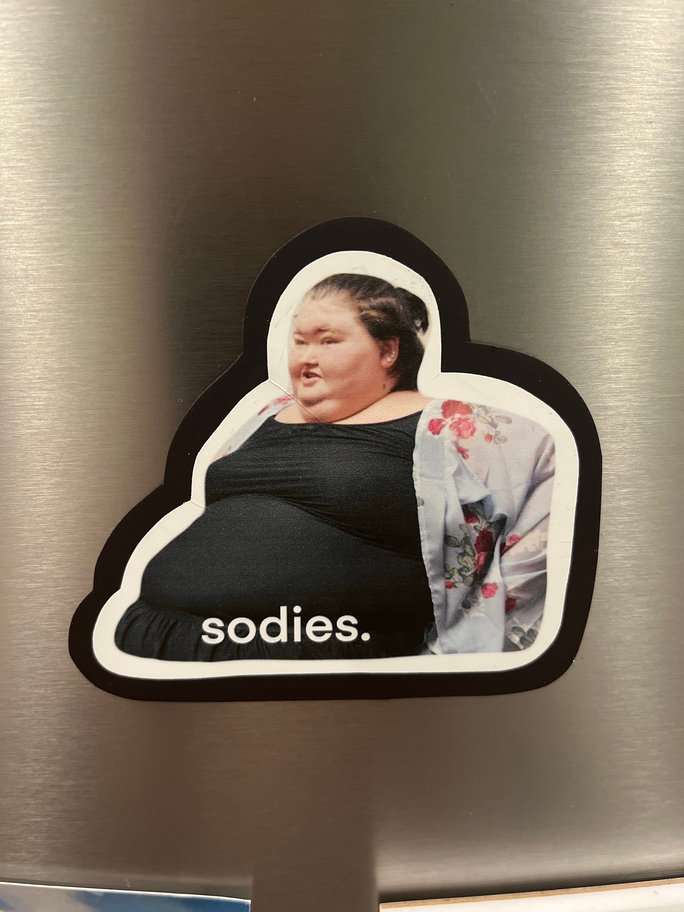 Amy Slaton magnet, 1000 lb sisters magnet, funny fridge magnet, sodies, TLC show, 1000 pound sisters, my 600 pound life, my bills are paid