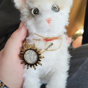 Jasper さんが購入した商品の写真を追加しました