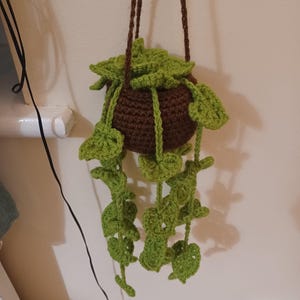 Lisa added a photo of their purchase