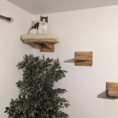 Large Wall Mounted Cat Perch Bed Platform Solid Wood Cat - Etsy