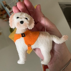 Kodie adicionaram uma foto da sua compra