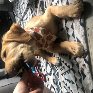 Ellie added a photo of their purchase