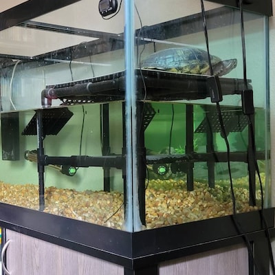 Premium Custom Built Aquarium Safe Turtle Basking Platform - Etsy