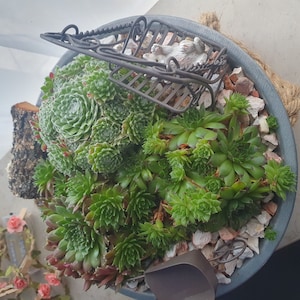 Tina added a photo of their purchase